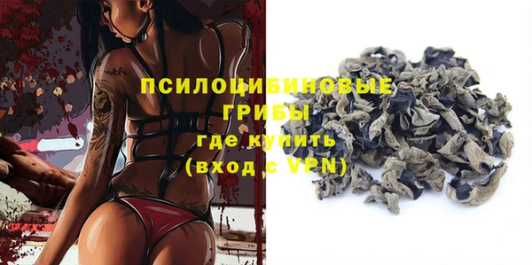 PSILOCYBIN Жердевка