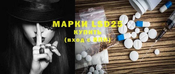 PSILOCYBIN Жердевка